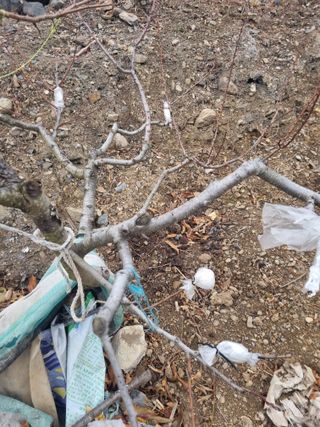 김용대님의 자유주제 · 자유게시판 작성글 사진