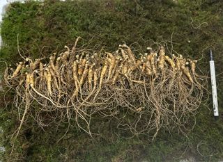 진상빈님의 작성글 사진