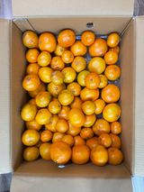 팜모닝 자유주제·자유게시판 게시글 이미지