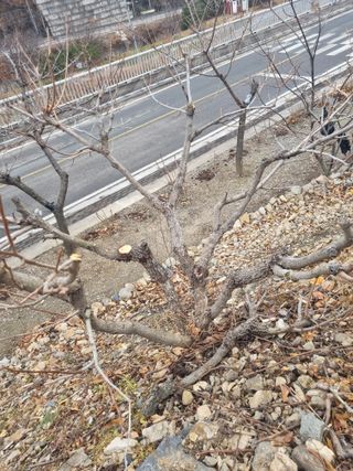 김용대님의 자유주제 · 자유게시판 작성글 사진