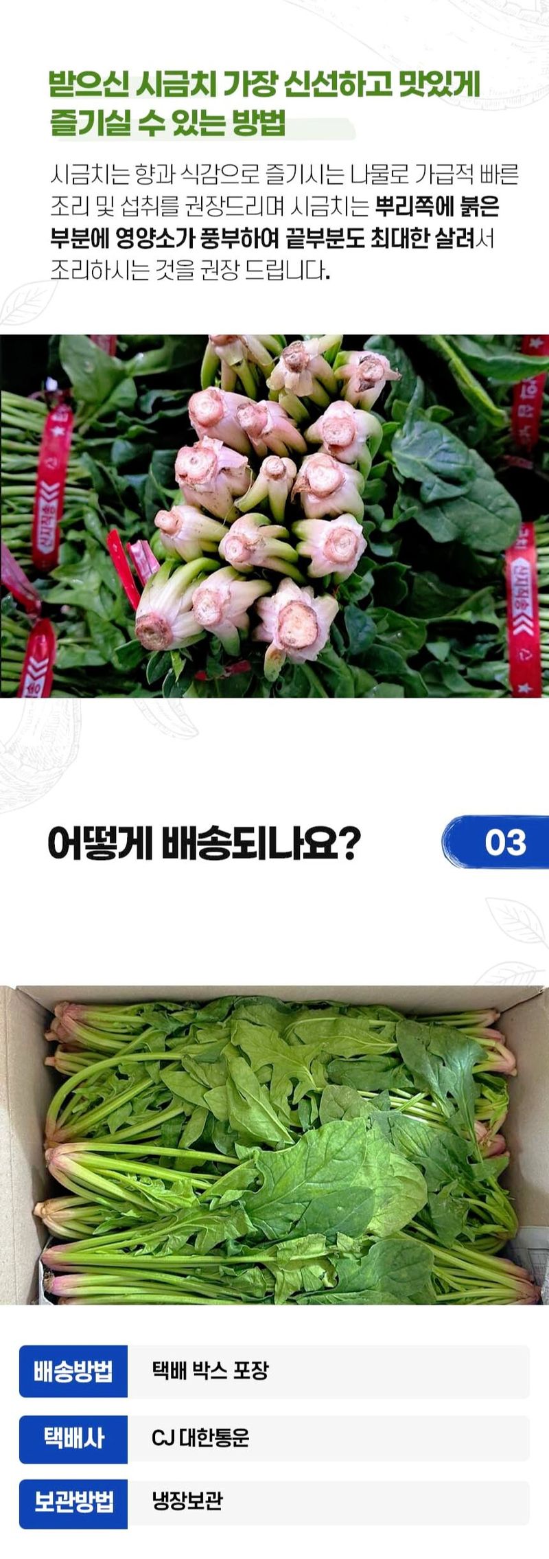 자두14488님의 장터 판매 상품 [시금치 5kg 남해 섬초 시금 해풍맞아 부드럽고 향이 좋은 신선한 노지 시금치] 첨부 사진