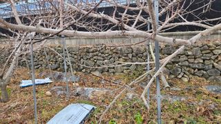 오현성님의 자유주제 · 자유게시판 작성글 사진