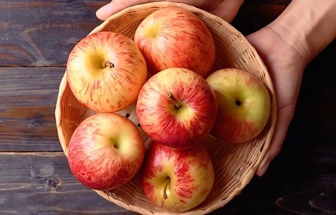 자두14488님의 장터 판매 상품 [사과 8kg 경북 햇사과 새콤달콤한 맛이 일품 맛있어서 사과 드립니다] 첨부 사진