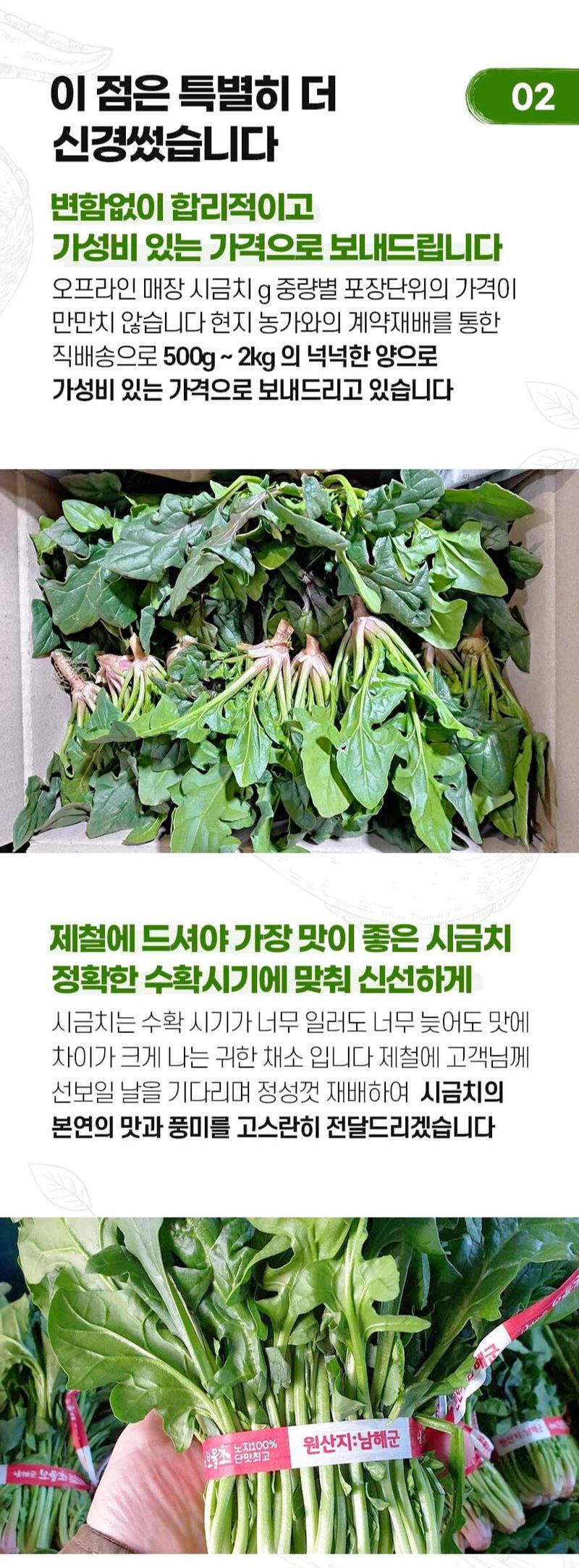 자두14488님의 장터 판매 상품 [시금치 5kg 남해 섬초 시금 해풍맞아 부드럽고 향이 좋은 신선한 노지 시금치] 첨부 사진