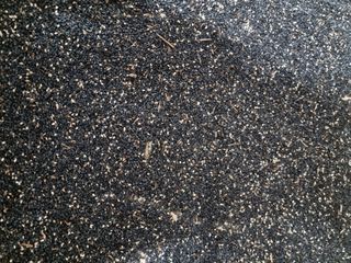 정석범님의 자유주제 · 자유게시판 작성글 사진