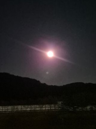 김상진님의 자유주제 · 자유게시판 작성글 사진