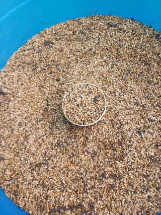 포천종삼농사꾼님의 작성글 사진