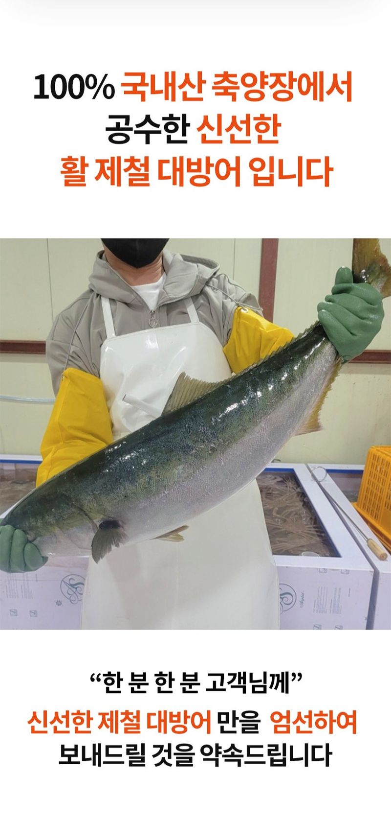 자두14488님의 장터 판매 상품 [제철 대방어 순살 횟감용 500g 1팩 초장 1팩 (국내산)] 첨부 사진