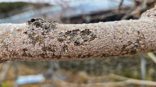 오현성님의 자유주제 · 자유게시판 작성글 사진