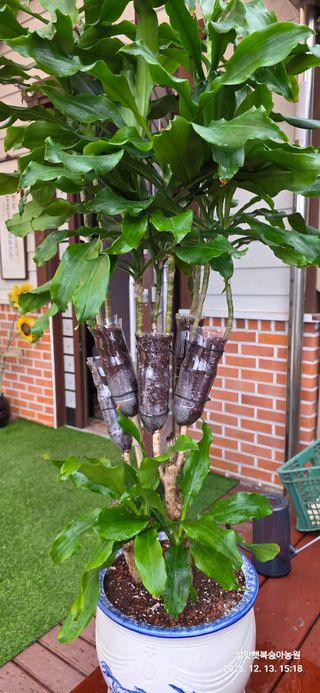 달맛햇복숭아농원님의 자유주제 · 자유게시판 작성글 사진