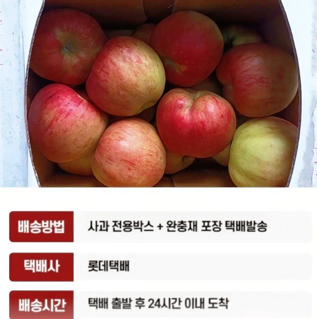 자두14488님의 장터 판매 상품 [사과 8kg 경북 햇사과 새콤달콤한 맛이 일품 맛있어서 사과 드립니다] 첨부 사진