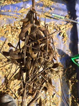 무 하님의 자유주제 · 자유게시판 작성글 사진