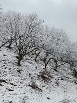 팜모닝 자유주제·자유게시판 게시글 이미지