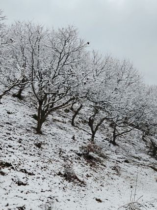 행복농원님의 자유주제 · 자유게시판 작성글 사진