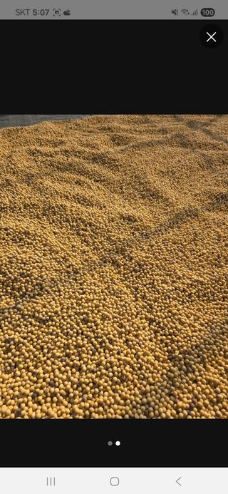 희찬(김동필)님의 작성글 사진