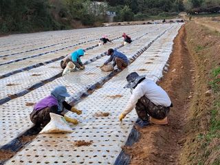 농촌이백억농원^^님의 자유주제 · 자유게시판 작성글 사진