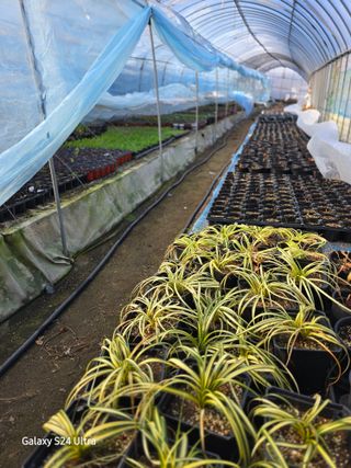 약초원 김종군님의 자유주제 · 자유게시판 작성글 사진