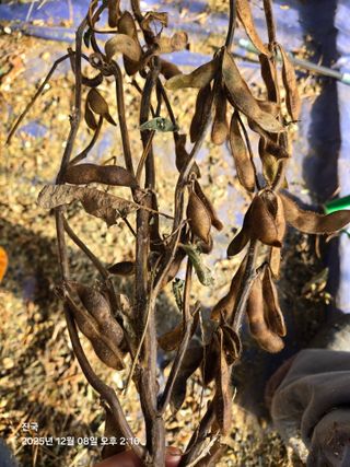 무 하님의 자유주제 · 자유게시판 작성글 사진