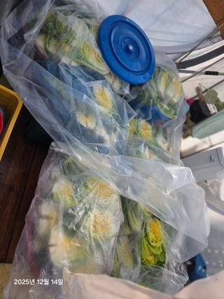 박용열조물주님 님의 자유주제 · 자유게시판 작성글 사진