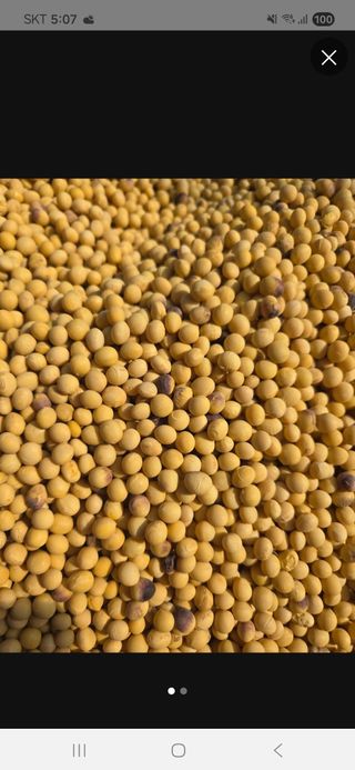 희찬(김동필)님의 작성글 사진