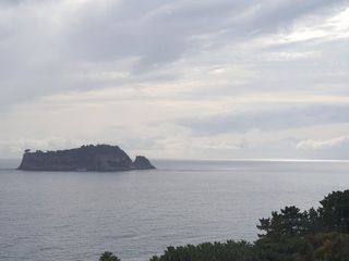 하나라도 소중하게님의 자유주제 · 자유게시판 작성글 사진