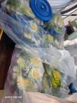 팜모닝 자유주제·자유게시판 게시글 이미지