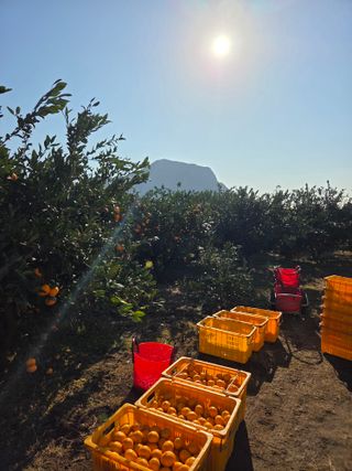 산방자연농원님의 작성글 사진