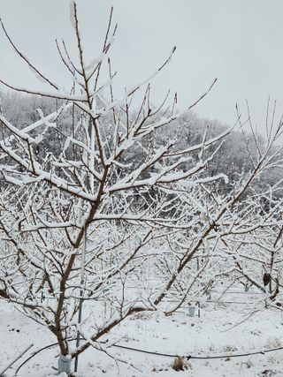행복농원님의 자유주제 · 자유게시판 작성글 사진