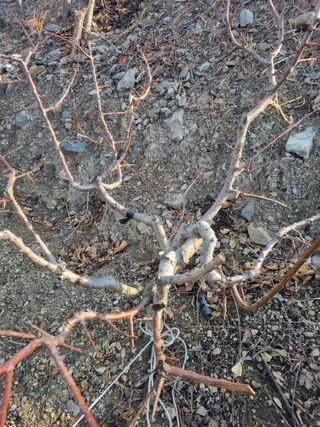 김용대님의 자유주제 · 자유게시판 작성글 사진