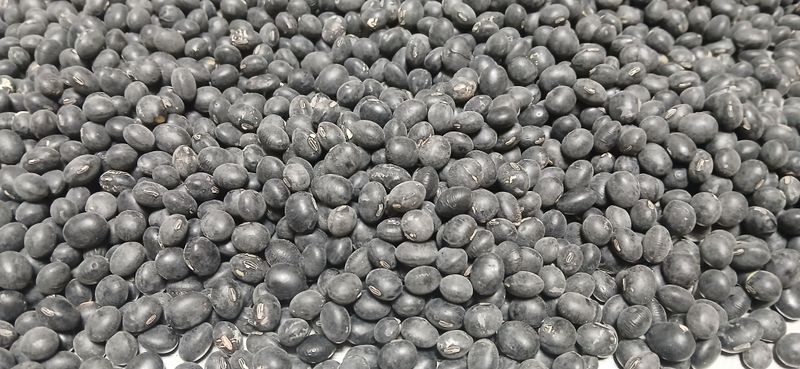 장터 상품 [2025년산 귀족서리태(논두렁) ] 썸네일