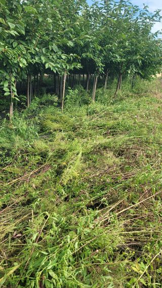 김진홍님의 자유주제 · 자유게시판 작성글 사진