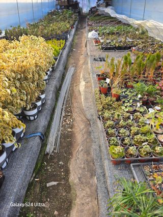 약초원 김종군님의 자유주제 · 자유게시판 작성글 사진