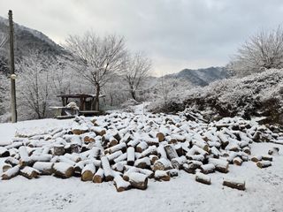 강원사랑인님의 자유주제 · 자유게시판 작성글 사진