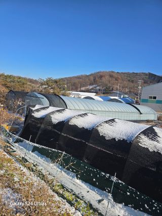 약초원 김종군님의 자유주제 · 자유게시판 작성글 사진