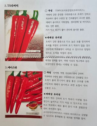 정의영님의 자유주제 · 자유게시판 작성글 사진