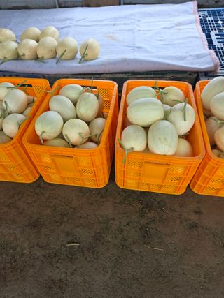 안광일 님의 자유주제 · 자유게시판 작성글 사진