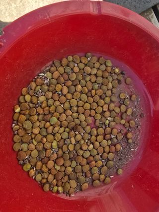 박정원님의 자유주제 · 자유게시판 작성글 사진