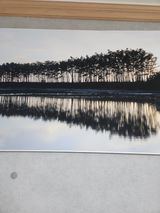 팜모닝 자유주제·자유게시판 게시글 이미지