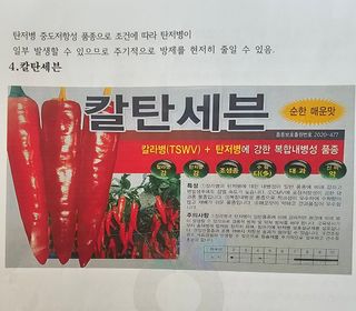 정의영님의 자유주제 · 자유게시판 작성글 사진