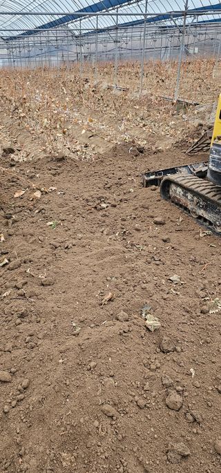 뿌리묘목농원님의 자유주제 · 자유게시판 작성글 사진