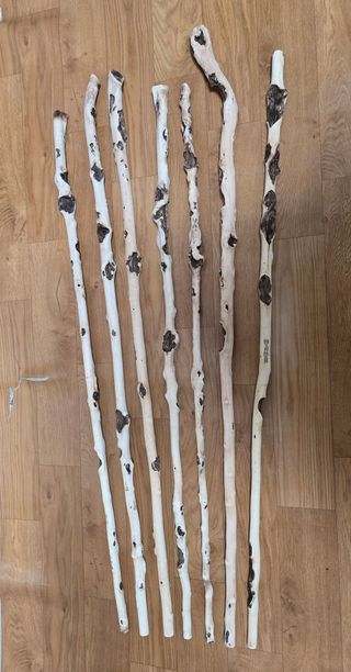 김대기님의 자유주제 · 자유게시판 작성글 사진