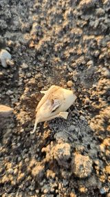 팜모닝 자유주제·자유게시판 게시글 이미지