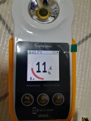 대정골귤꽃농원님의 작성글 사진