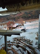 팜모닝 자유주제·자유게시판 게시글 이미지