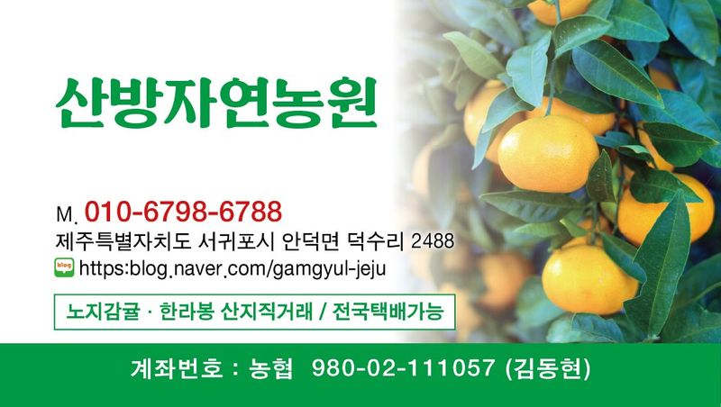 산방자연농원님의 장터 판매 상품 [서귀포 조생귤 대과 10kg(택배비포함)] 첨부 사진
