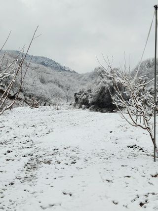 행복농원님의 자유주제 · 자유게시판 작성글 사진