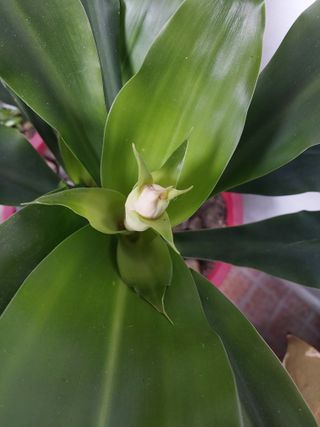 주말 텃밭 농부님의 자유주제 · 자유게시판 작성글 사진