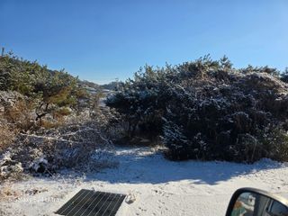 약초원 김종군님의 자유주제 · 자유게시판 작성글 사진