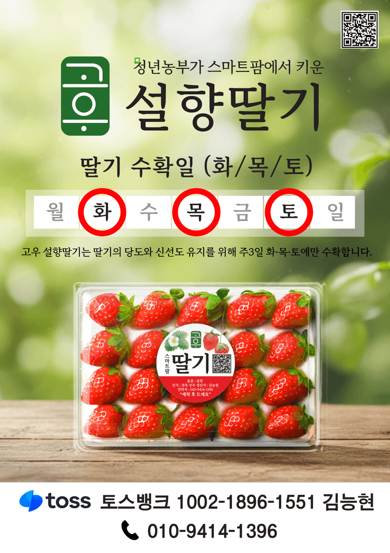 윤승희님의 장터 판매 상품 [상주 스마트팜 설향 딸기 800g] 첨부 사진