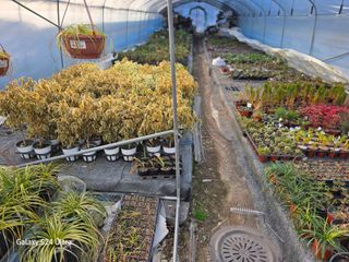 약초원 김종군님의 자유주제 · 자유게시판 작성글 사진